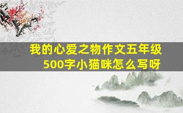 我的心爱之物作文五年级500字小猫咪怎么写呀