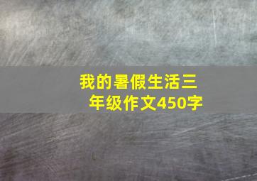 我的暑假生活三年级作文450字