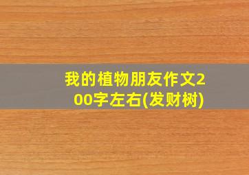 我的植物朋友作文200字左右(发财树)