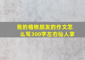 我的植物朋友的作文怎么写300字左右仙人掌