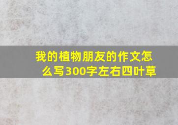 我的植物朋友的作文怎么写300字左右四叶草