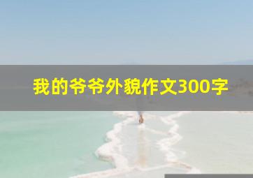 我的爷爷外貌作文300字