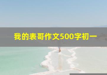 我的表哥作文500字初一