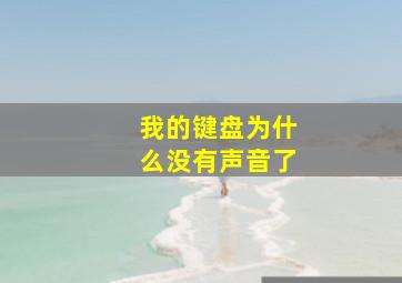 我的键盘为什么没有声音了