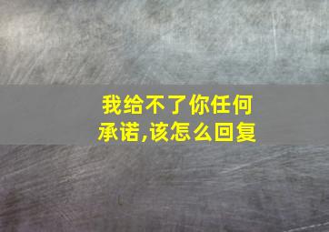 我给不了你任何承诺,该怎么回复