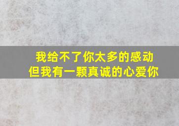 我给不了你太多的感动但我有一颗真诚的心爱你