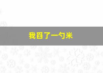 我舀了一勺米