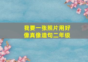 我要一张照片用好像真像造句二年级