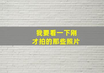 我要看一下刚才拍的那些照片