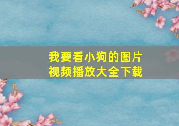 我要看小狗的图片视频播放大全下载