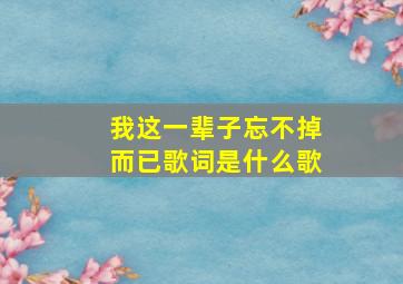 我这一辈子忘不掉而已歌词是什么歌