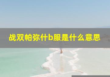 战双帕弥什b服是什么意思