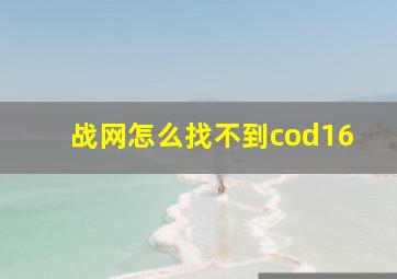 战网怎么找不到cod16