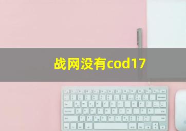 战网没有cod17