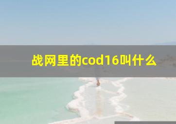 战网里的cod16叫什么