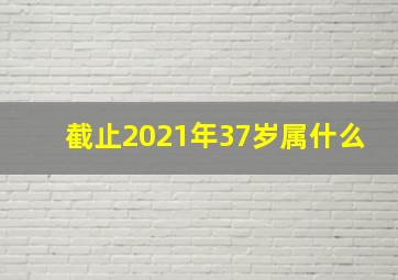 截止2021年37岁属什么