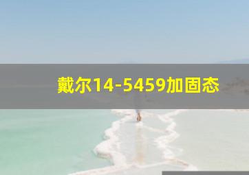 戴尔14-5459加固态