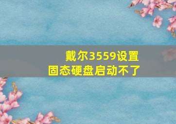 戴尔3559设置固态硬盘启动不了