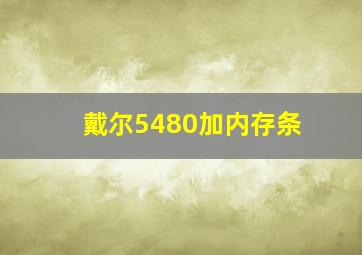 戴尔5480加内存条