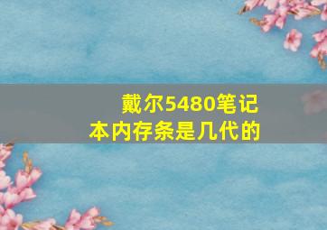 戴尔5480笔记本内存条是几代的