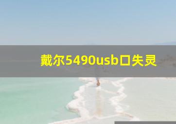 戴尔5490usb口失灵