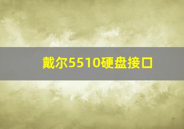 戴尔5510硬盘接口