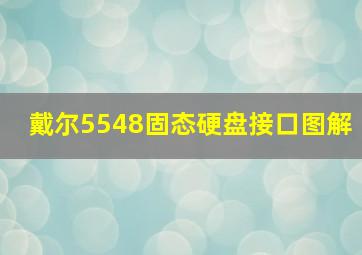 戴尔5548固态硬盘接口图解