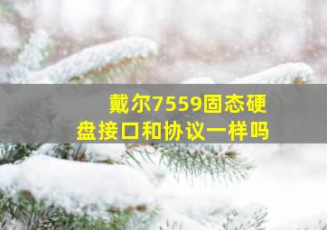 戴尔7559固态硬盘接口和协议一样吗