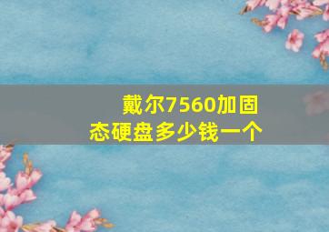 戴尔7560加固态硬盘多少钱一个