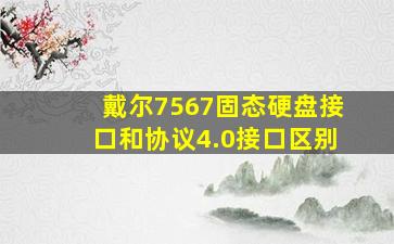 戴尔7567固态硬盘接口和协议4.0接口区别