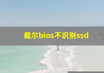 戴尔bios不识别ssd