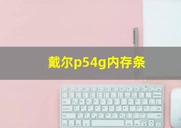 戴尔p54g内存条