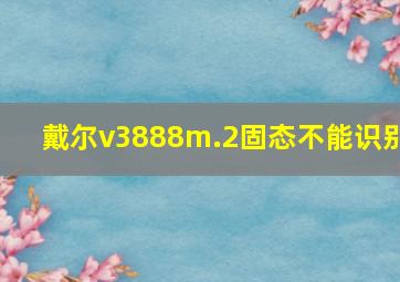 戴尔v3888m.2固态不能识别