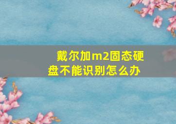 戴尔加m2固态硬盘不能识别怎么办