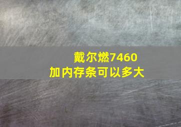 戴尔燃7460加内存条可以多大