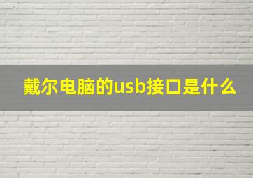 戴尔电脑的usb接口是什么