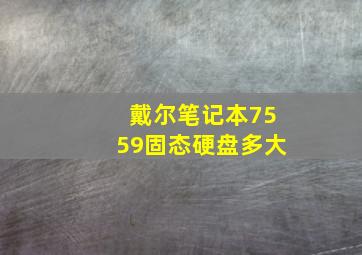 戴尔笔记本7559固态硬盘多大