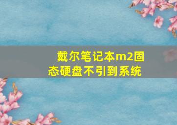 戴尔笔记本m2固态硬盘不引到系统