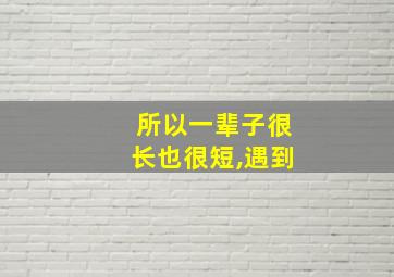 所以一辈子很长也很短,遇到