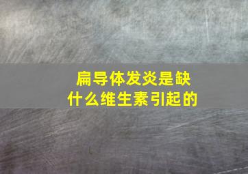 扁导体发炎是缺什么维生素引起的