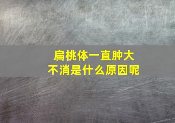 扁桃体一直肿大不消是什么原因呢