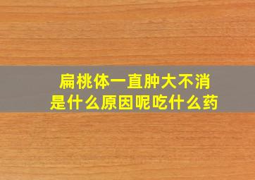 扁桃体一直肿大不消是什么原因呢吃什么药