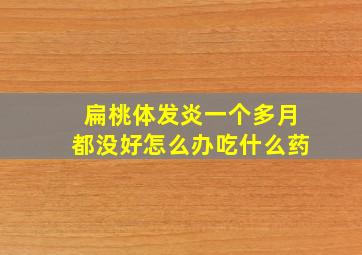 扁桃体发炎一个多月都没好怎么办吃什么药