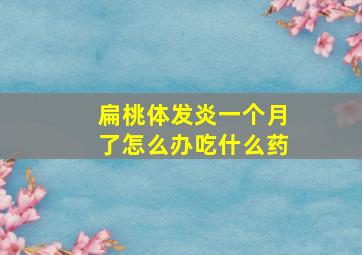 扁桃体发炎一个月了怎么办吃什么药