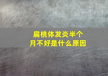 扁桃体发炎半个月不好是什么原因