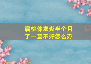 扁桃体发炎半个月了一直不好怎么办