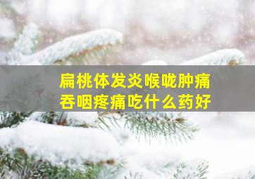 扁桃体发炎喉咙肿痛吞咽疼痛吃什么药好