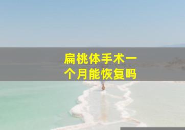 扁桃体手术一个月能恢复吗