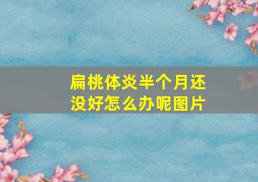 扁桃体炎半个月还没好怎么办呢图片