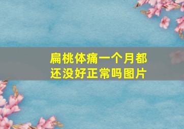 扁桃体痛一个月都还没好正常吗图片